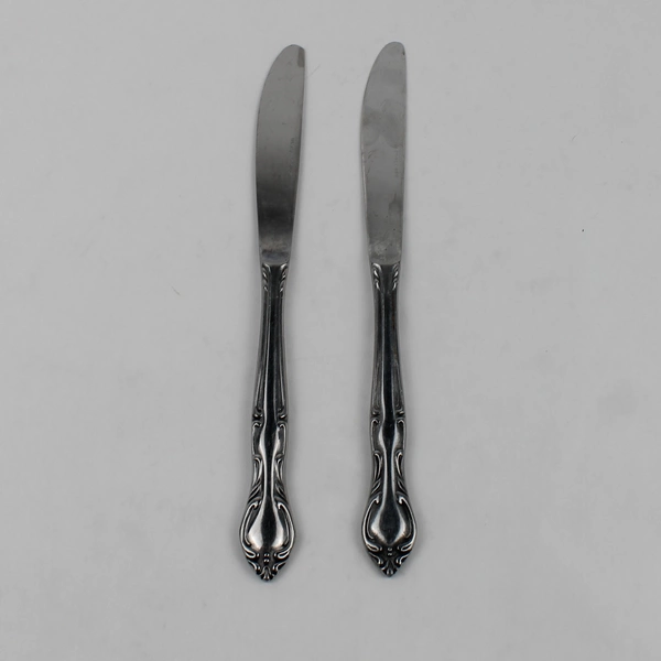 Lot of 2 Hampton Court Stainless Steel Dinner Knives 8.75" Japan Flatware