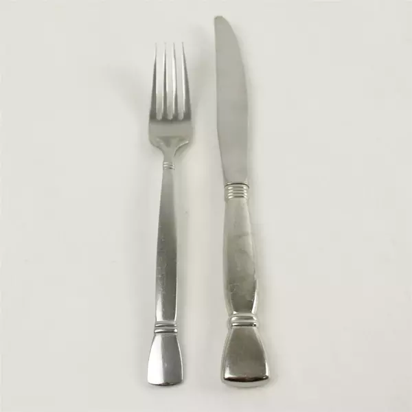 Lot of 2 Oneida Nexus Stainless Dinner Fork & Modern Hollow Knife