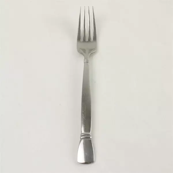 Lot of 2 Oneida Nexus Stainless Dinner Fork & Modern Hollow Knife