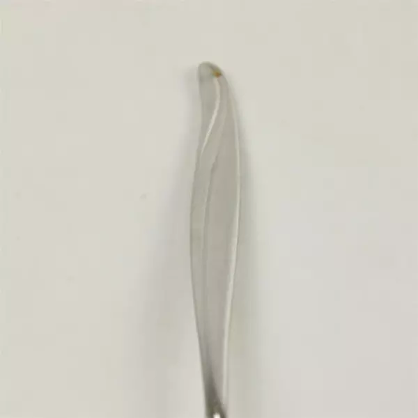 Set of 4 Oneida Rodgers Surf-Maid Cabana Stainless Teaspoon  6in