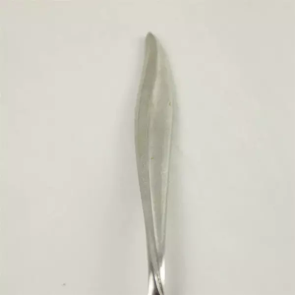 Oneida Stainless Textura Teaspoon 6"