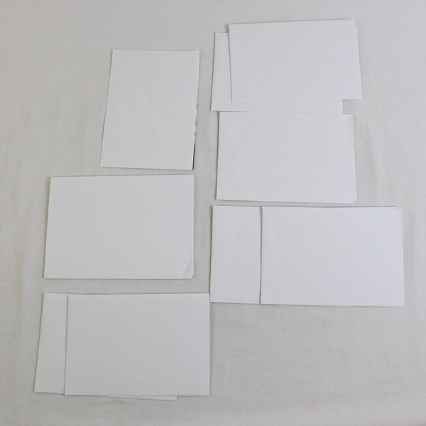 Lot of 9 Wildlife Conservation Animal Photography Notecards with Envelopes