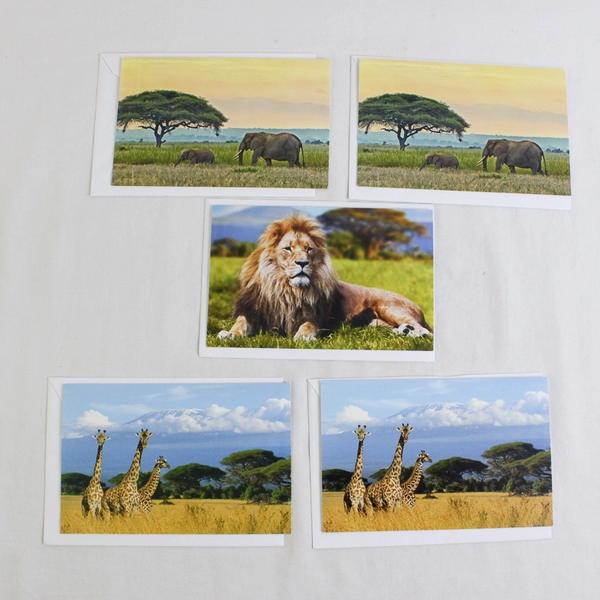 Lot of 9 Wildlife Conservation Animal Photography Notecards with Envelopes