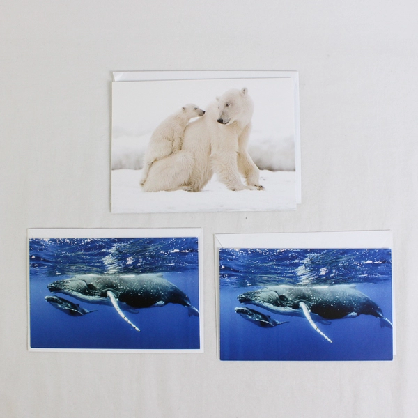 Lot of 9 Wildlife Conservation Animal Photography Notecards with Envelopes