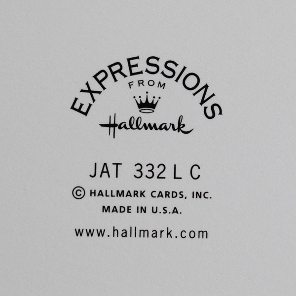 Set of 4 Expressions From Hallmark Teddy Bear Thank You Notecards Blank