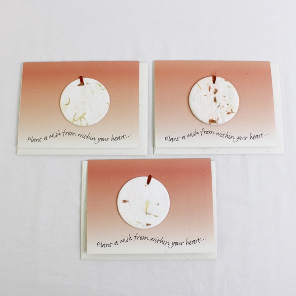 Set of 3 Abraxane Medical Oncology Advertisement Cards with Envelopes