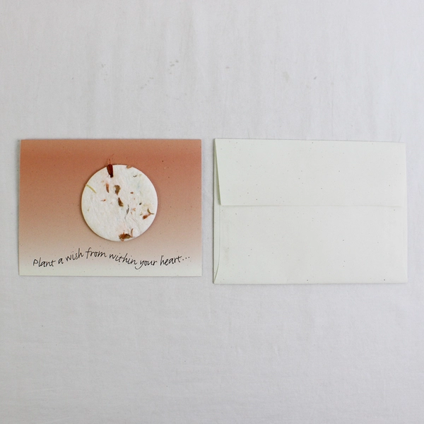 Set of 3 Abraxane Medical Oncology Advertisement Cards with Envelopes