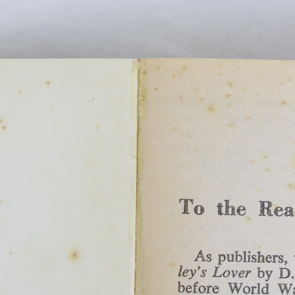 Vintage Lady Chatterley’s Lover by D H Lawrence 1962 Paperback 