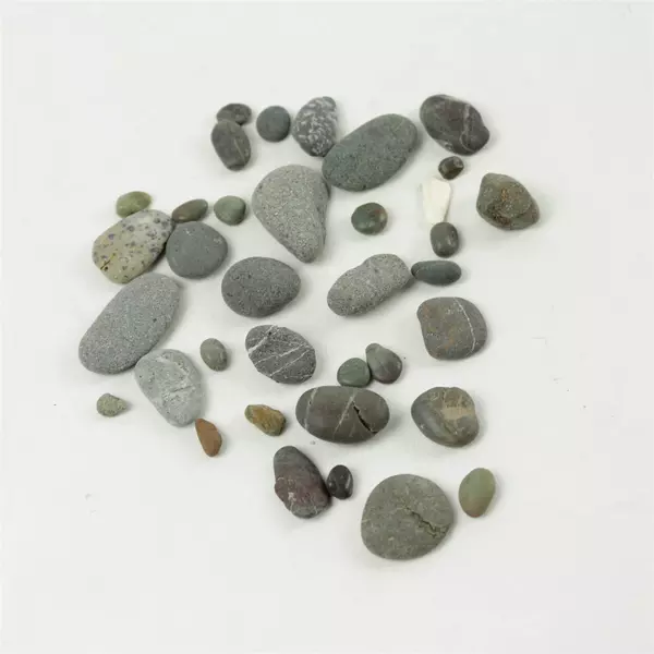 Assorted Natural Craft Rocks for Mosaics, Vase Fillers & Terrariums
