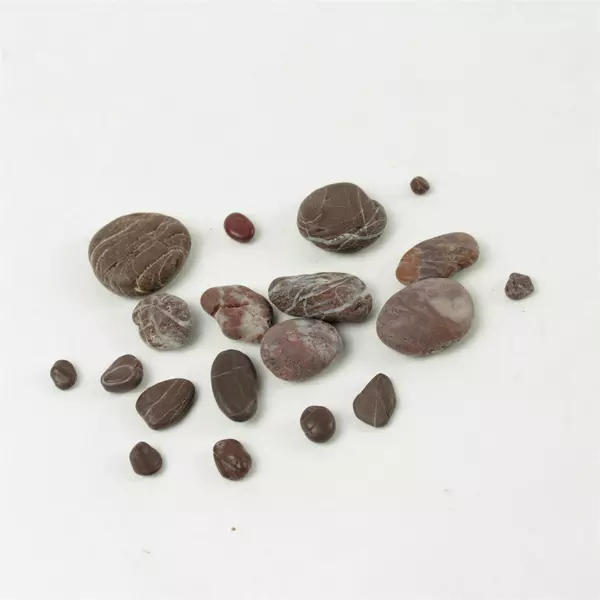 Assorted Natural Craft Rocks for Mosaics, Vase Fillers & Terrariums
