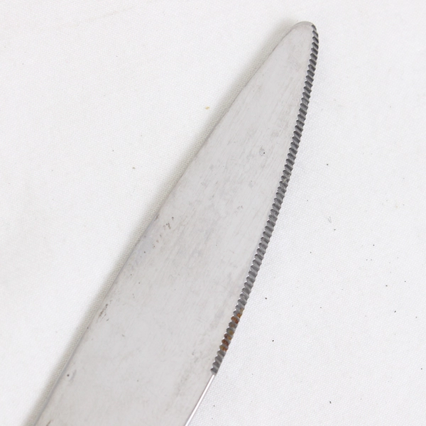 Lot Of 6 Oneida Silver Emery (Stainless) Flatware Dinner Knives 9.5" Long