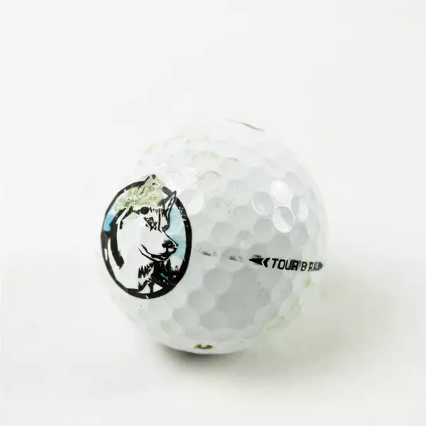 Lot of 10 Bridgestone Used Golf Balls Pre-Owned Practice Range