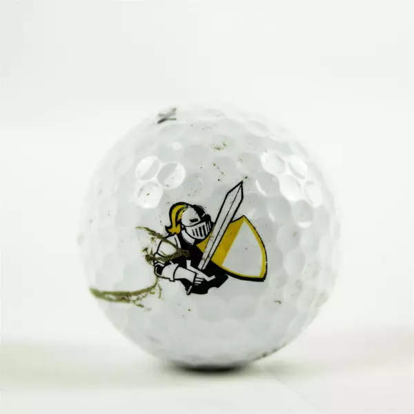 Lot of 34 Used Assorted Golf Balls Noodle Srixon Kirkland Practice Range