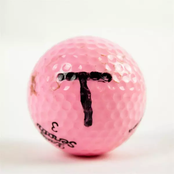 Lot of 34 Used Assorted Golf Balls Noodle Srixon Kirkland Practice Range