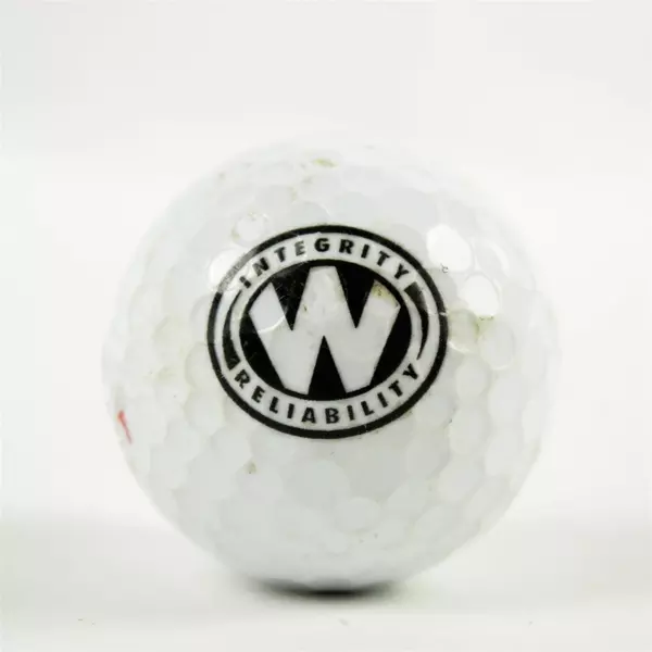 Lot of 34 Used Assorted Golf Balls Noodle Srixon Kirkland Practice Range