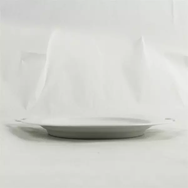 White Serving Plate w/Handles 10 x 10.75 in Appetizer Dessert