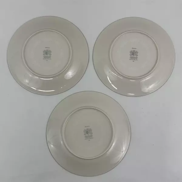 Lot Of 3 American Royalty Winterset Pattern Salad Plates 7.75" China Silver Trim