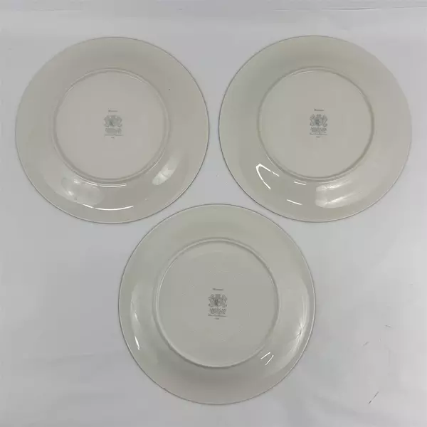Lot Of 3 American Royalty Winterset Pattern Dinner Plates 11" China Silver Trim