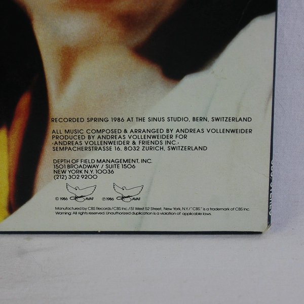 Andreas Vollenweider Down to the Moon  Record Album Vinyl LP