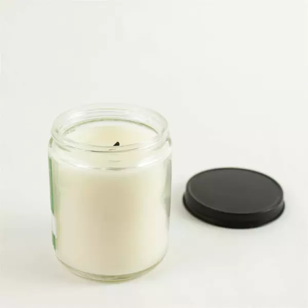 Bath & Body Works Eucalyptus Spearmint Stress Relief 7 oz Single Wick Candle