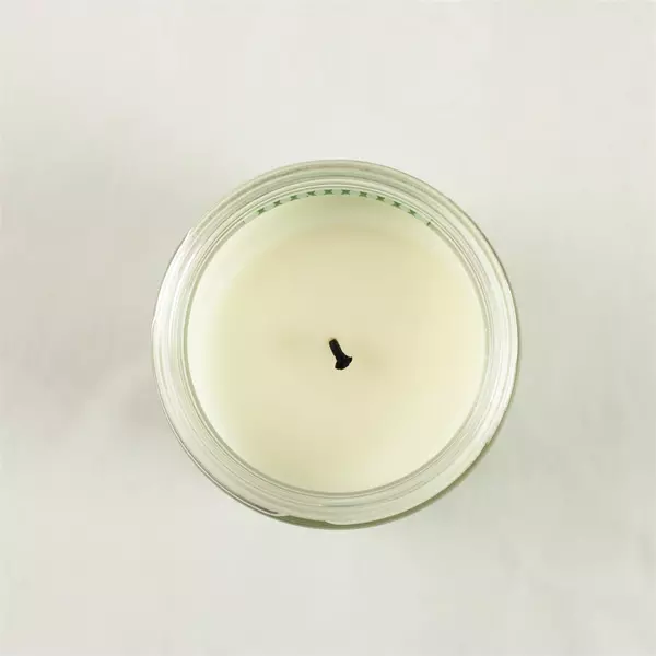 Bath & Body Works Eucalyptus Spearmint Stress Relief 7 oz Single Wick Candle