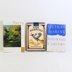 Lot of  3 Poetry and Creative Writing Books Anthology Carver Robbins