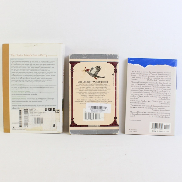 Lot of  3 Poetry and Creative Writing Books Anthology Carver Robbins