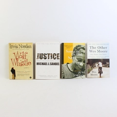 Lot of 4 Racial Inequality Social Justice Books Moore Jordan Sandel Nordan