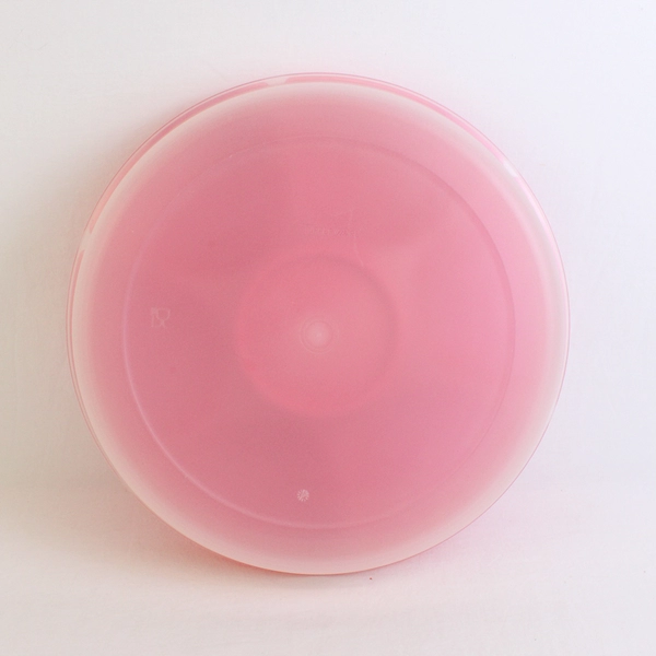 Tupperware Large Divided Snack Veggie Fruit Tray w/ Dipping Bowl Red 1665A-1