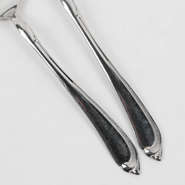 Lot Of 2 Oneida Silver Whispering Sand (Stainless) Flatware Serving Spoon & Fork