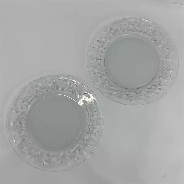 Lot Of 2 Princess House Fantasia Pattern Clear Glass Plates Dinner Plates