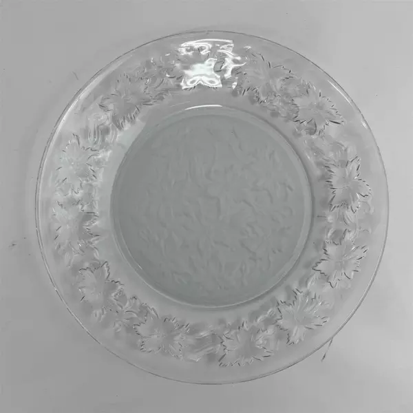 Lot Of 2 Princess House Fantasia Pattern Clear Glass Plates Dinner Plates