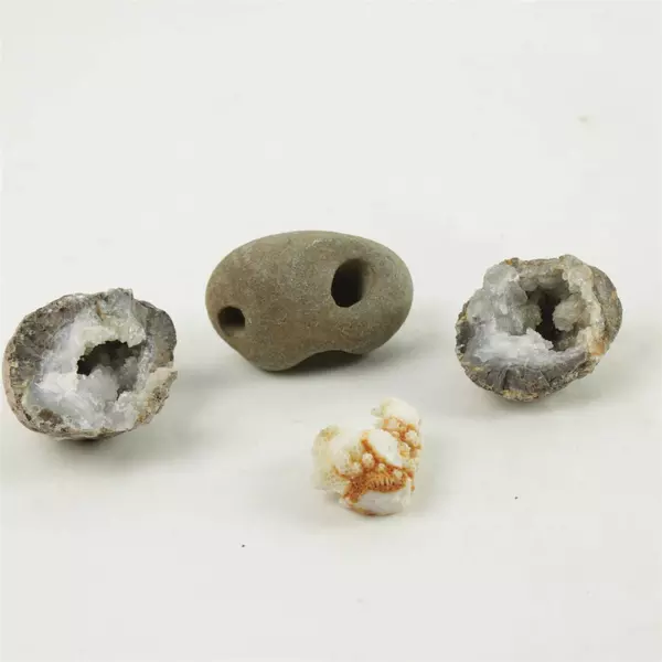 Lot of 2 Geodes with Rock w/Holes & Coral Piece Collectible Display