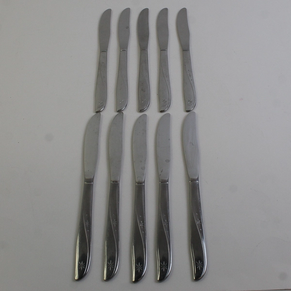 Lot Of 10 Oneida Silver Twin Star (Stainless) Flatware Dinner Knives 9.75" Long