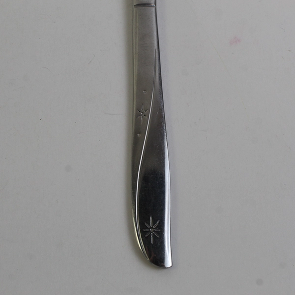 Lot Of 10 Oneida Silver Twin Star (Stainless) Flatware Dinner Knives 9.75" Long