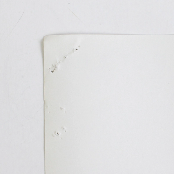 The Thinker's Thesaurus by Peter E Meltzer 2010 PB Expanded 2nd Edition