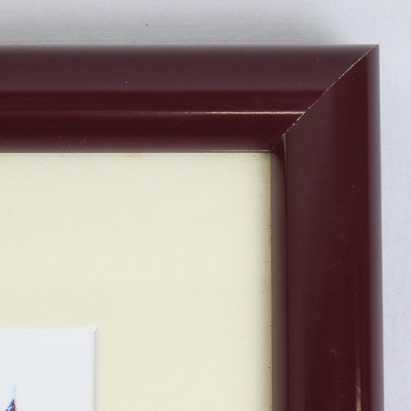 5 Color Woodblock Print Goldfinch Iris by David J. Vikla Framed  Matted