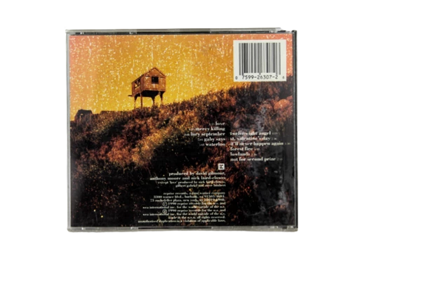 Dream Academy Different Kind of Weather Music Audio CD 1990 Reprise Records