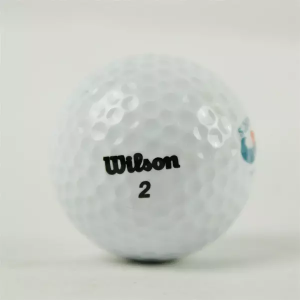 Wilson #2 Coos Bay OR Souvenir Golf Ball Sunset Waves