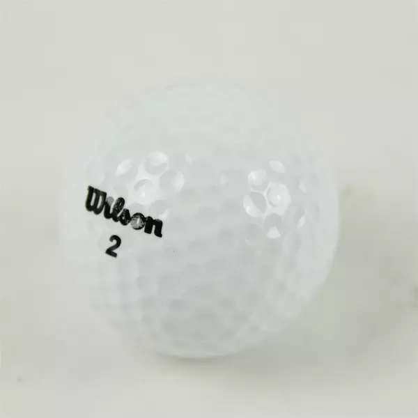 Wilson #2 Coos Bay OR Souvenir Golf Ball Sunset Waves