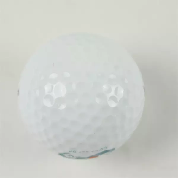 Wilson #2 Coos Bay OR Souvenir Golf Ball Sunset Waves