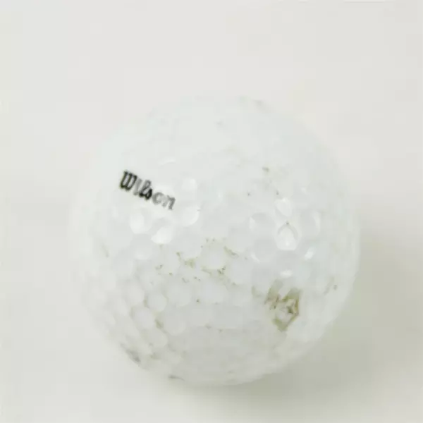 Wilson TC2 Tour #3 Souvenir Golf Ball Meriwether National GC, Hillsboro OR