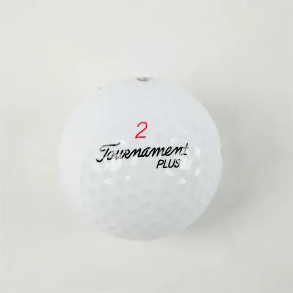 Vintage Spalding Tournament Plus #2 Souvenir Golf Ball Quail Run La Pine OR Used