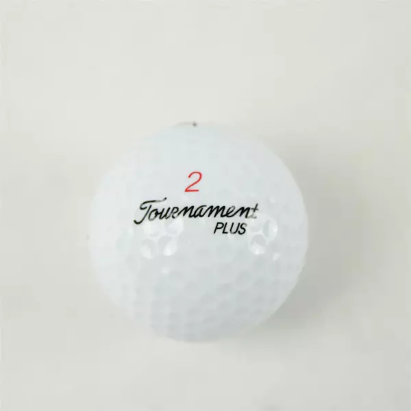 Vintage Spalding Tournament Plus #2 Souvenir Golf Ball Quail Run La Pine OR Used
