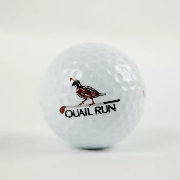 Vintage Spalding Tournament Plus #2 Souvenir Golf Ball Quail Run La Pine OR Used