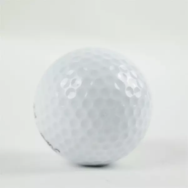 Vintage Spalding Tournament Plus #2 Souvenir Golf Ball Quail Run La Pine OR Used