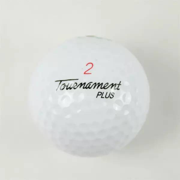 Vintage Spalding Tournament Plus #2 Souvenir Golf Ball Glen Oaks - USED