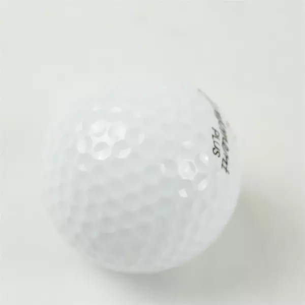 Vintage Spalding Tournament Plus #2 Souvenir Golf Ball Glen Oaks - USED