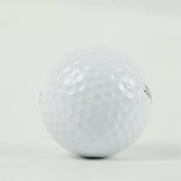 Vintage Spalding Tournament Plus #2 Souvenir Golf Ball Glen Oaks - USED