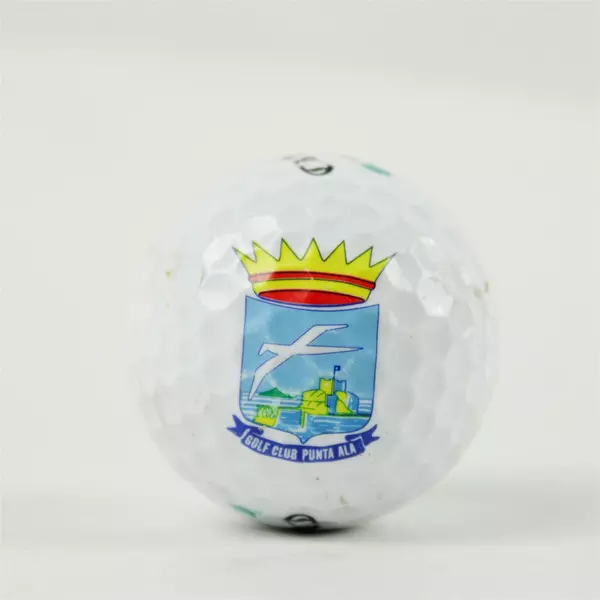 Vintage Callaway Warbird #2 Punta Ala Italy Souvenir Golf Ball Used